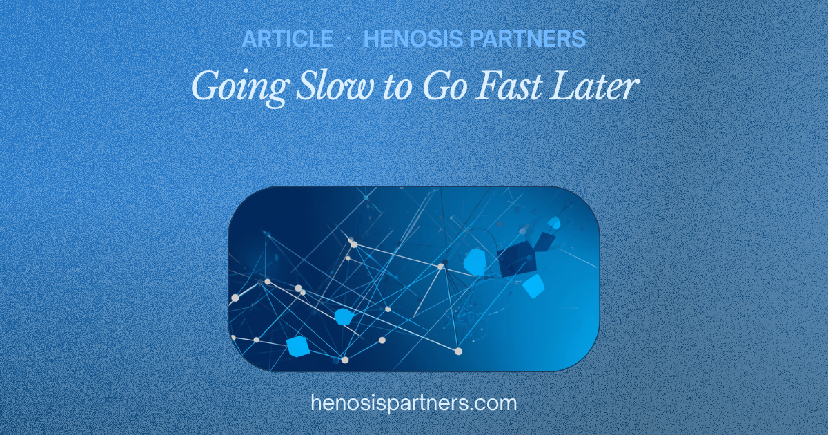 Blog cover titled Going Slow to Go Fast Later.