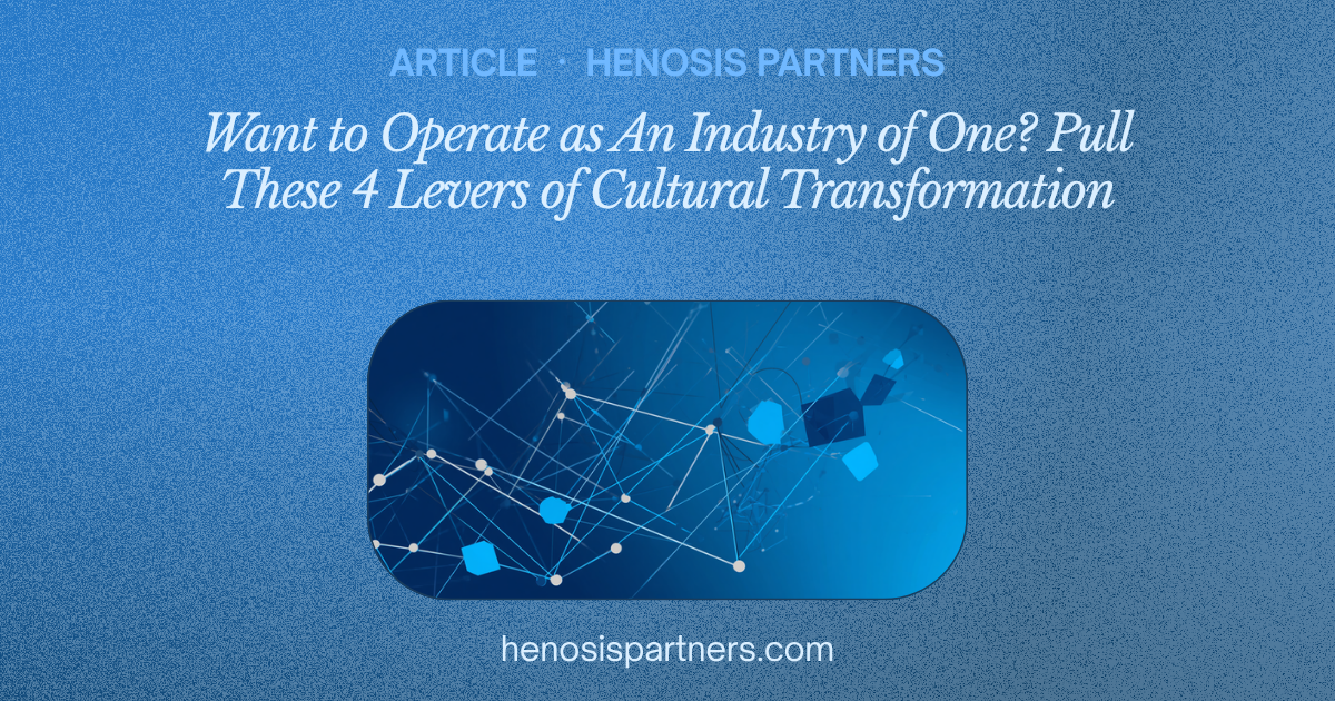 Blog cover titled Cultural Transformation: 4 Levers for an Industry of One.